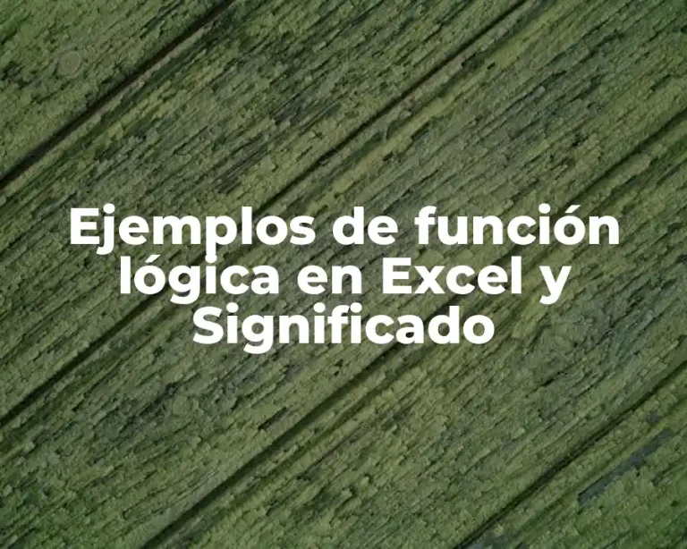 Ejemplos de función lógica en Excel y Significado