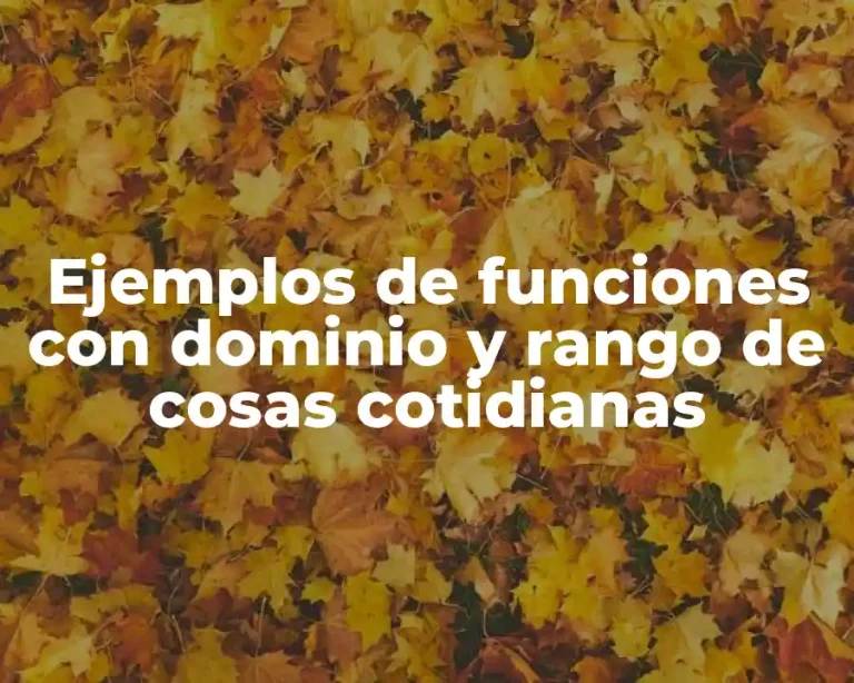 Ejemplos de funciones con dominio y rango de cosas cotidianas