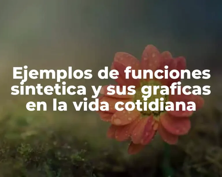 Ejemplos de funciones sintetica y sus graficas en la vida cotidiana