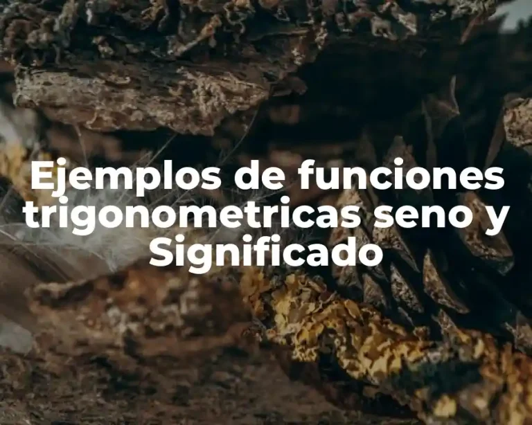 Ejemplos de funciones trigonometricas seno y Significado