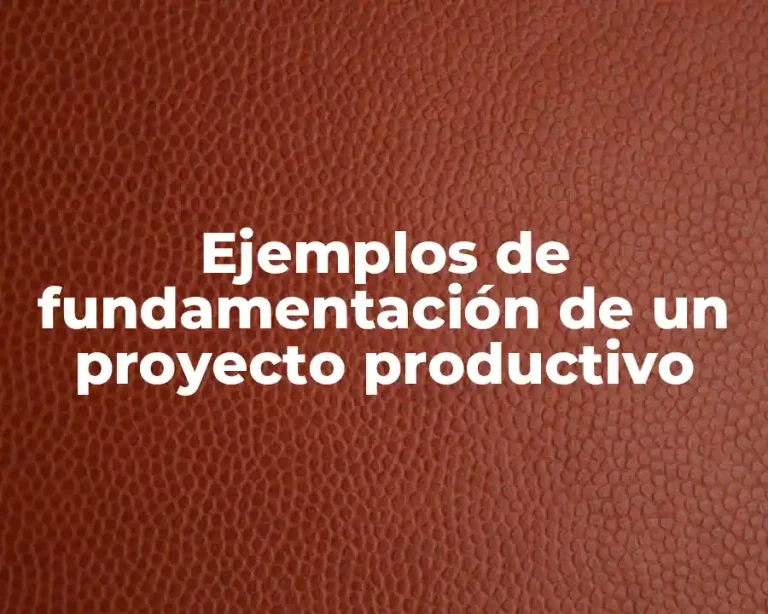 Ejemplos de fundamentación de un proyecto productivo