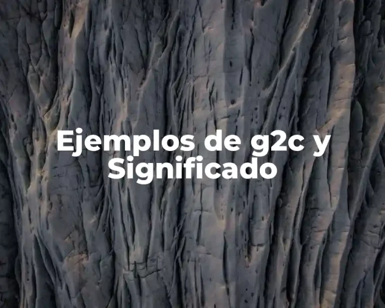 Ejemplos de g2c y Significado