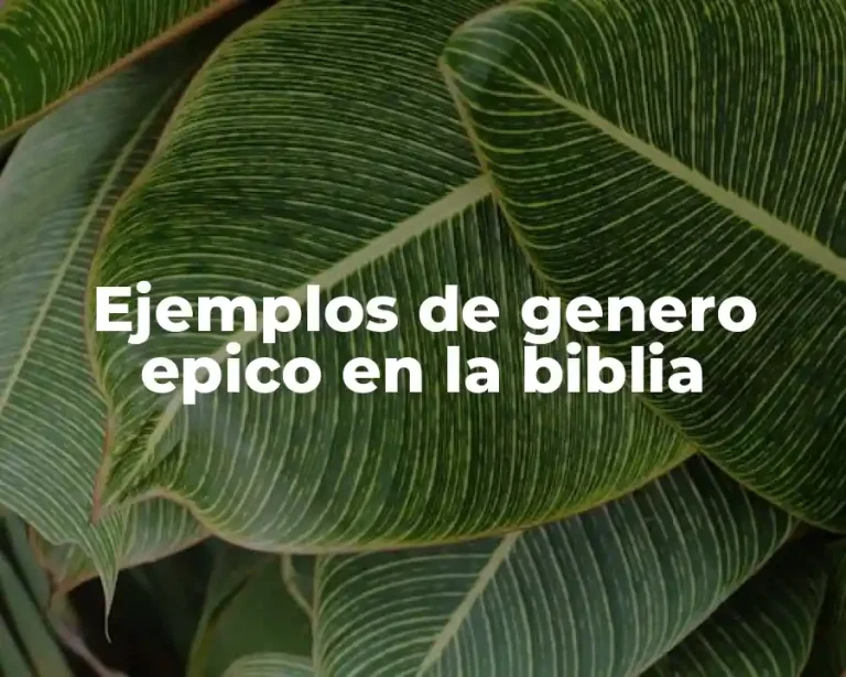 Ejemplos de genero epico en la biblia