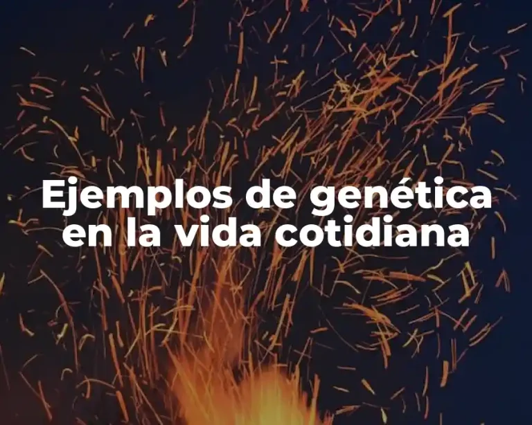 Ejemplos de genética en la vida cotidiana