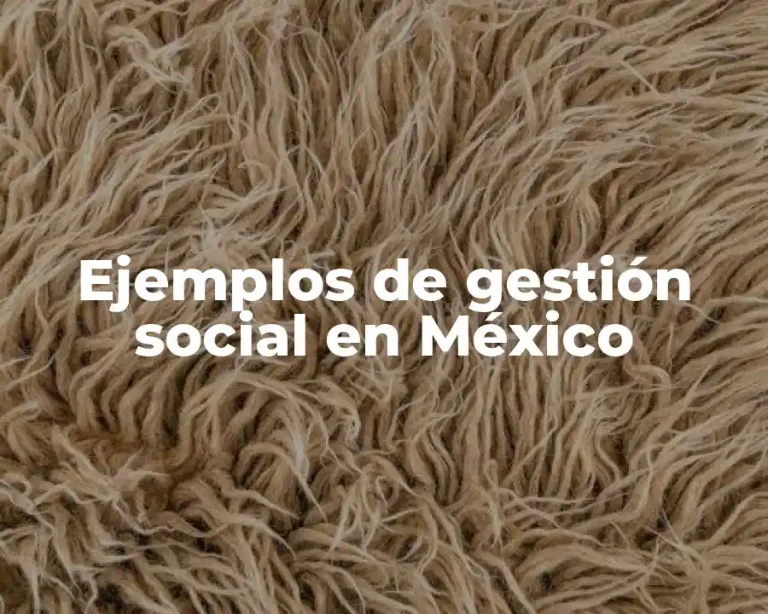 Ejemplos de gestión social en México