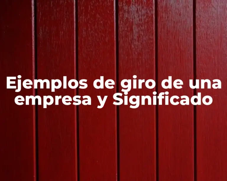 Ejemplos de giro de una empresa y Significado