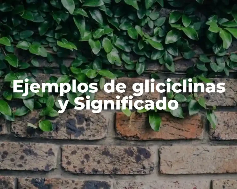 Ejemplos de gliciclinas y Significado