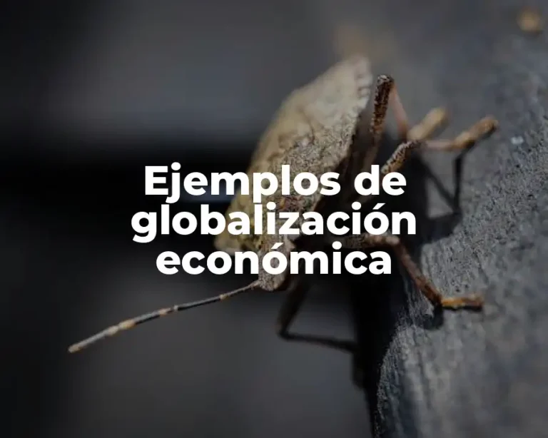 Ejemplos de globalización económica