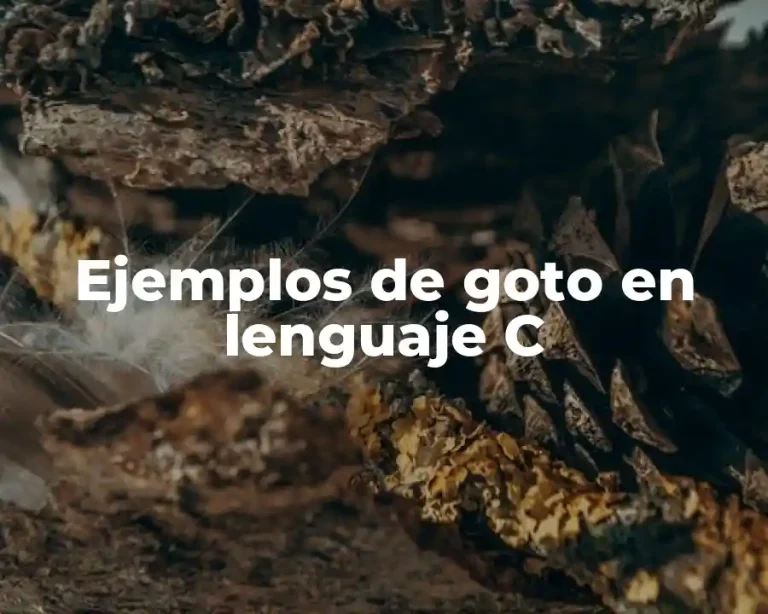 Ejemplos de goto en lenguaje C