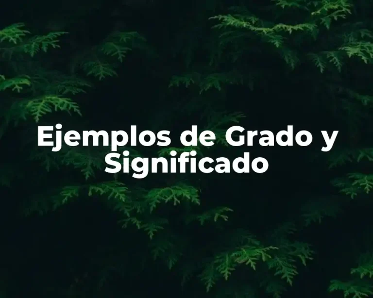 Ejemplos de Grado y Significado