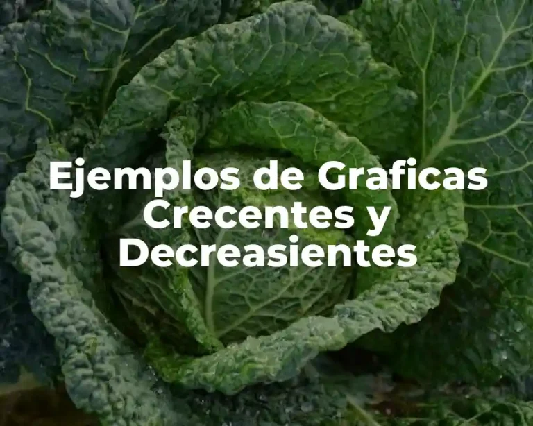 Ejemplos de Graficas Crecentes y Decreasientes