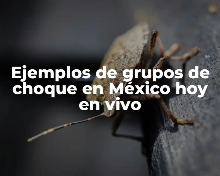 Ejemplos de grupos de choque en México hoy en vivo