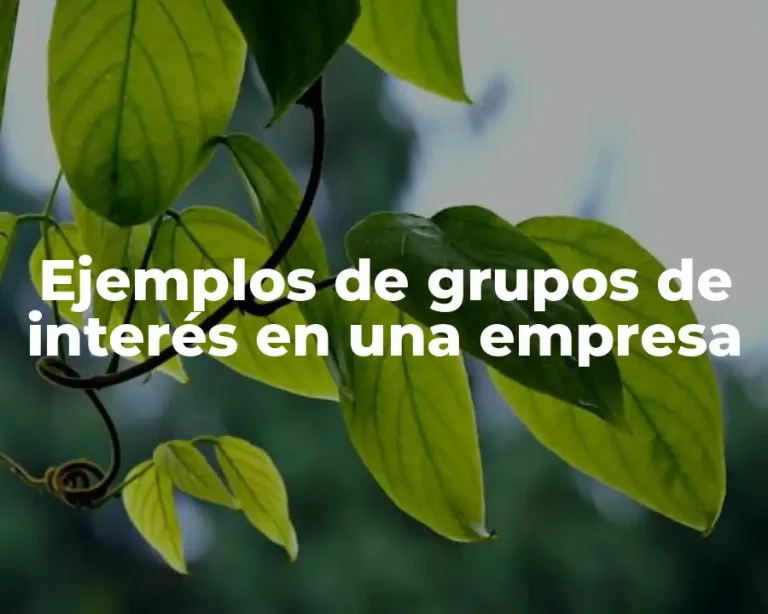 Ejemplos de grupos de interés en una empresa