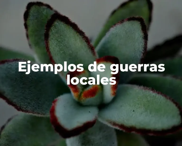 Ejemplos de guerras locales