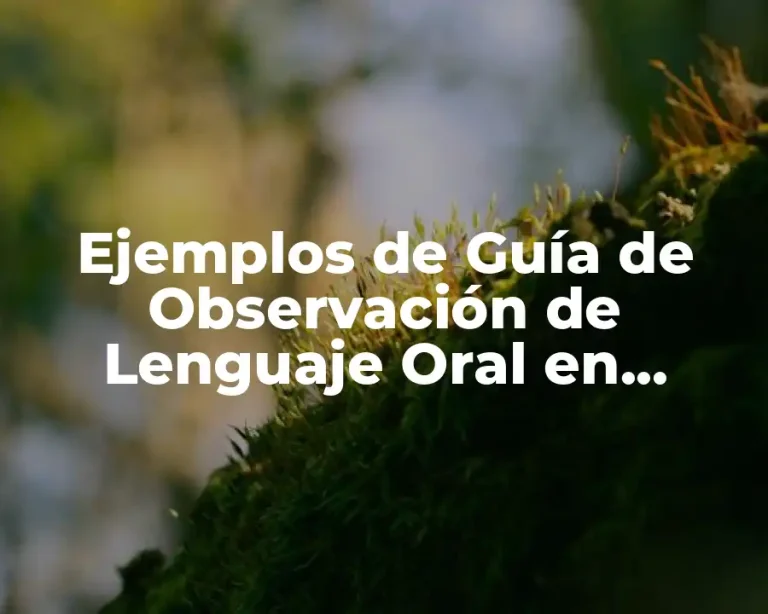 Ejemplos de Guía de Observación de Lenguaje Oral en Preescolar
