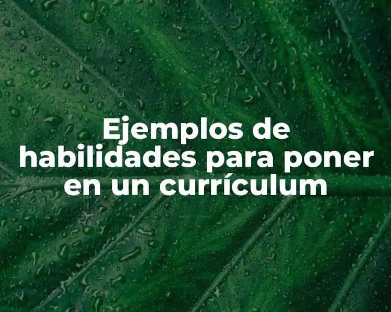 Ejemplos de habilidades para poner en un currículum