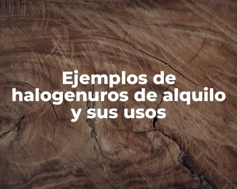 Ejemplos de halogenuros de alquilo y sus usos