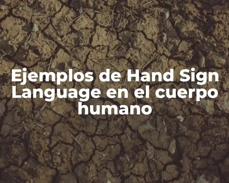 Ejemplos de Hand Sign Language en el cuerpo humano