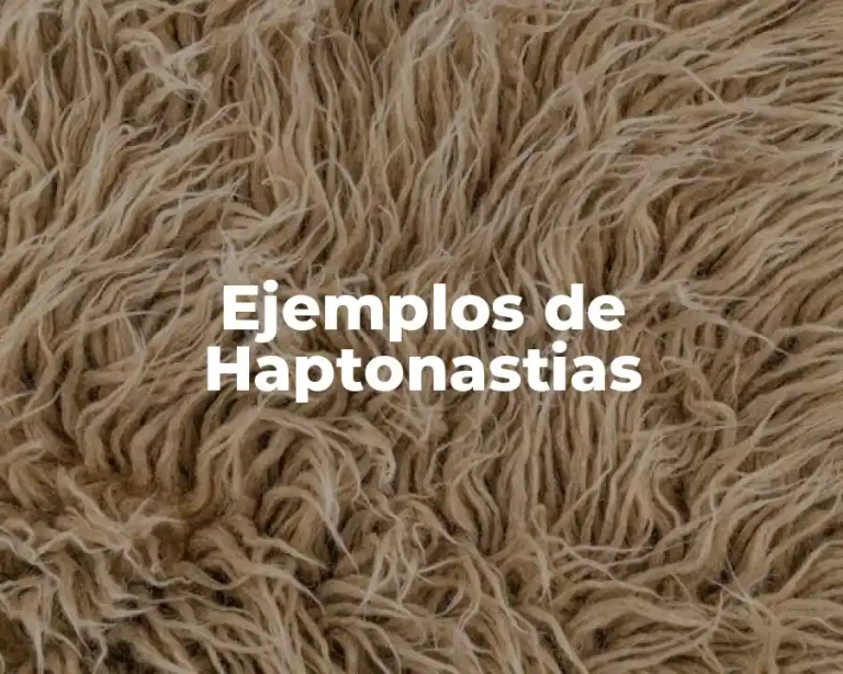 Ejemplos de Haptonastias