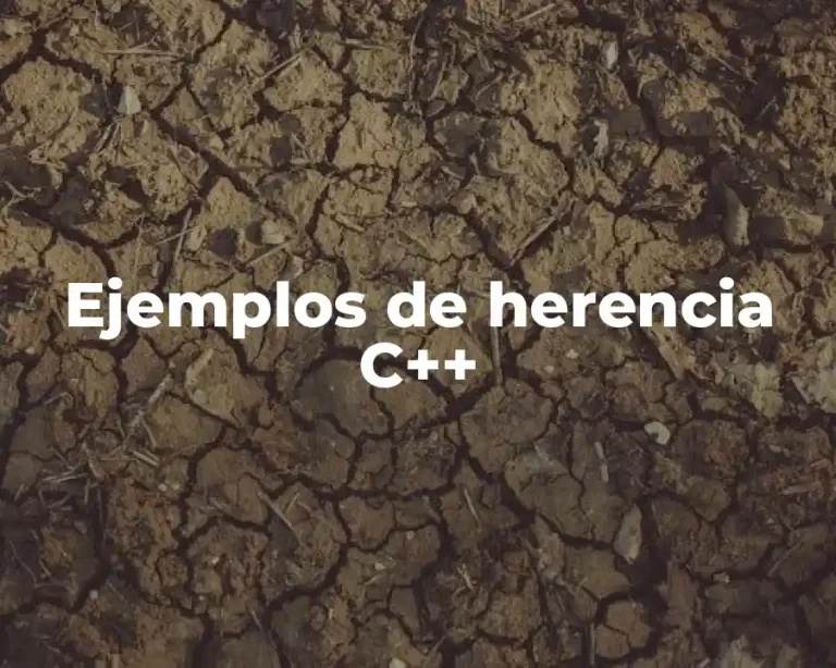 Ejemplos de herencia C++