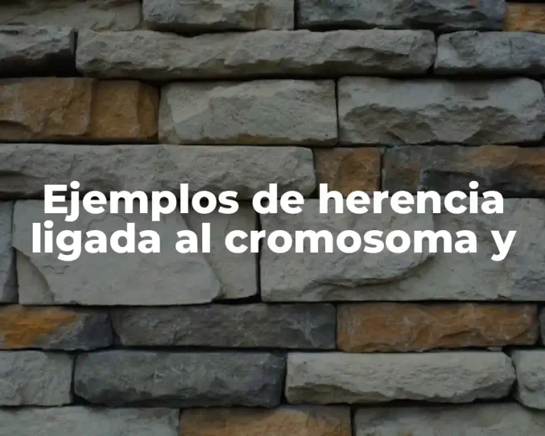 Ejemplos de herencia ligada al cromosoma y