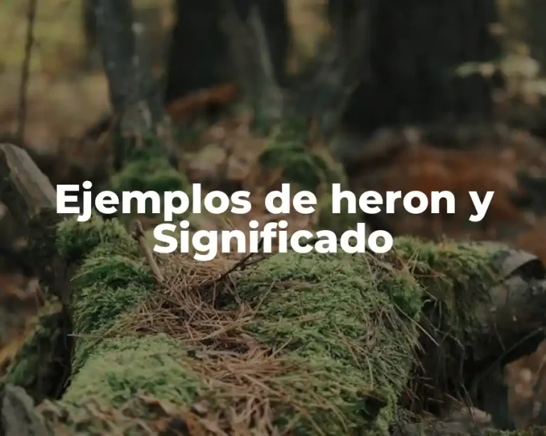 Ejemplos de heron y Significado
