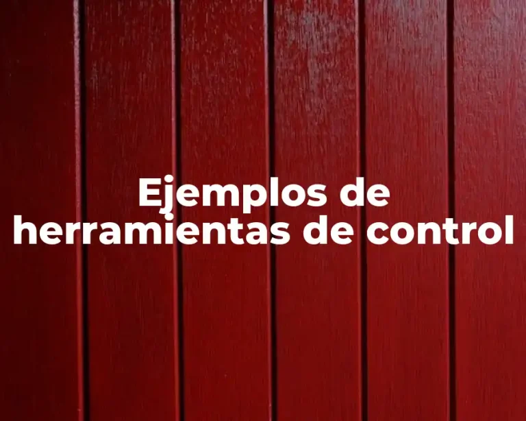 Ejemplos de herramientas de control