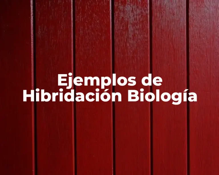 Ejemplos de Hibridación Biología