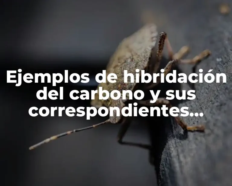 Ejemplos de hibridación del carbono y sus correspondientes enlaces