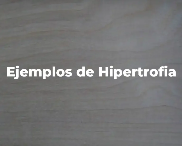 Ejemplos de Hipertrofia