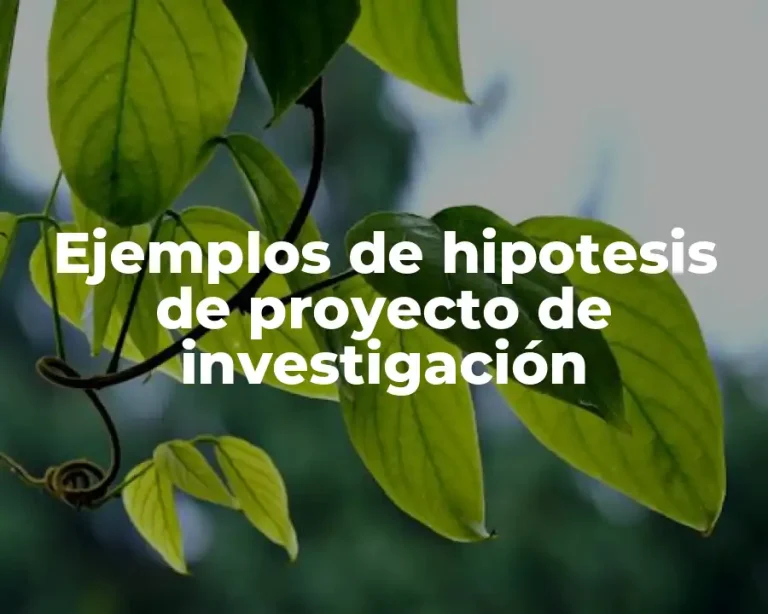 Ejemplos de hipotesis de proyecto de investigación