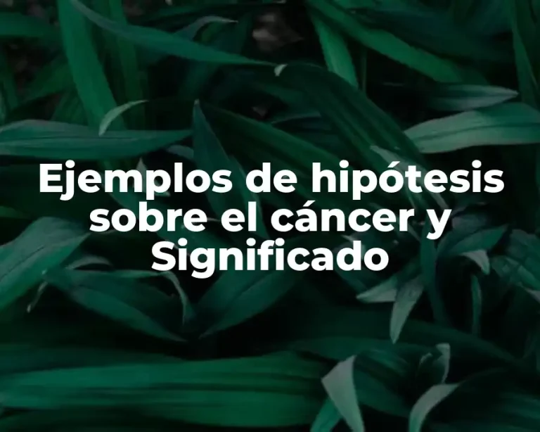 Ejemplos de hipótesis sobre el cáncer y Significado