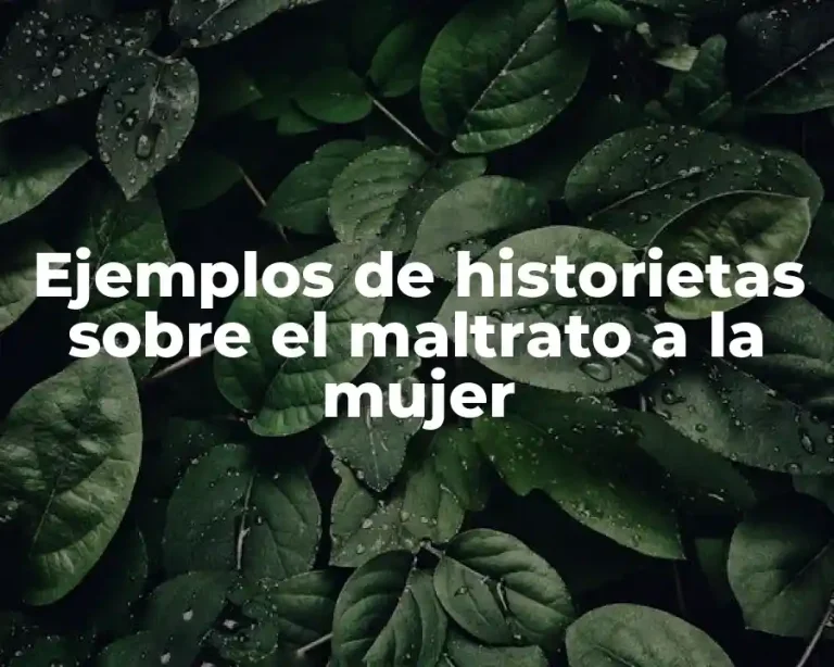 Ejemplos de historietas sobre el maltrato a la mujer
