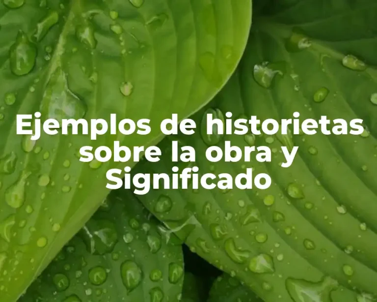 Ejemplos de historietas sobre la obra y Significado