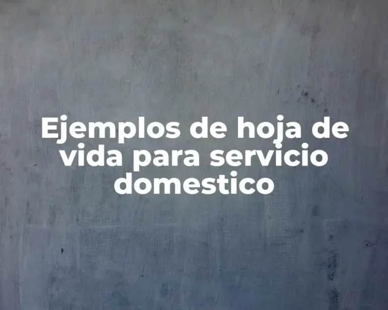 Ejemplos de hoja de vida para servicio domestico