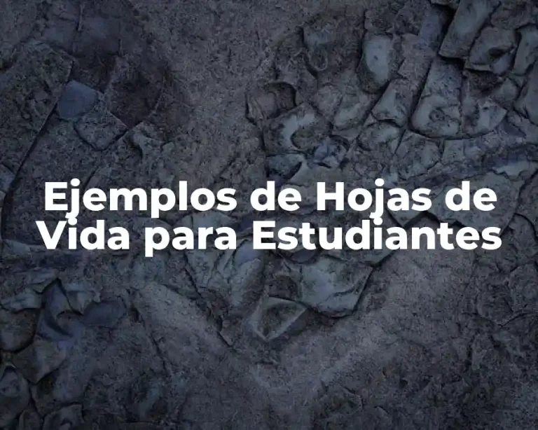 Ejemplos de Hojas de Vida para Estudiantes