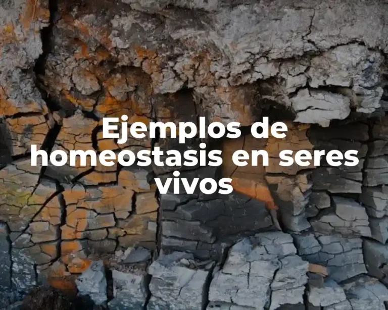 Ejemplos de homeostasis en seres vivos