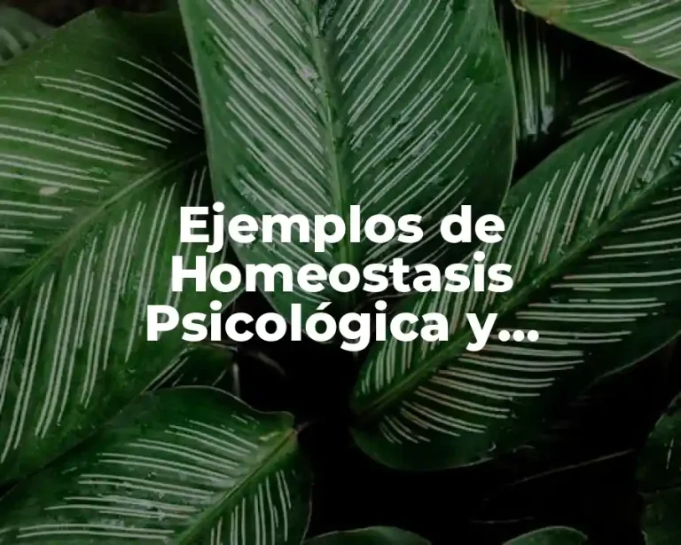 Ejemplos de Homeostasis Psicológica y Significado