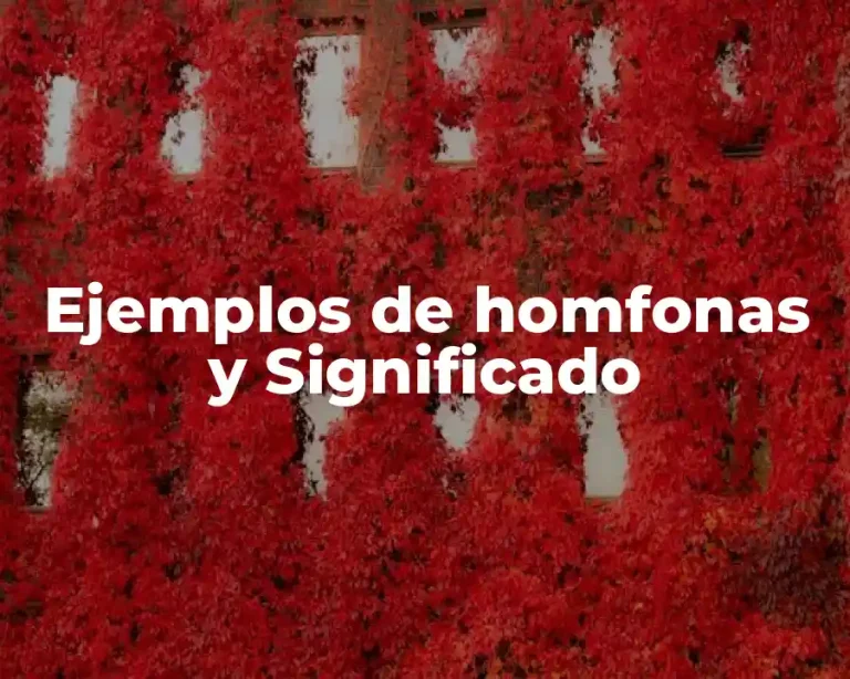 Ejemplos de homfonas y Significado