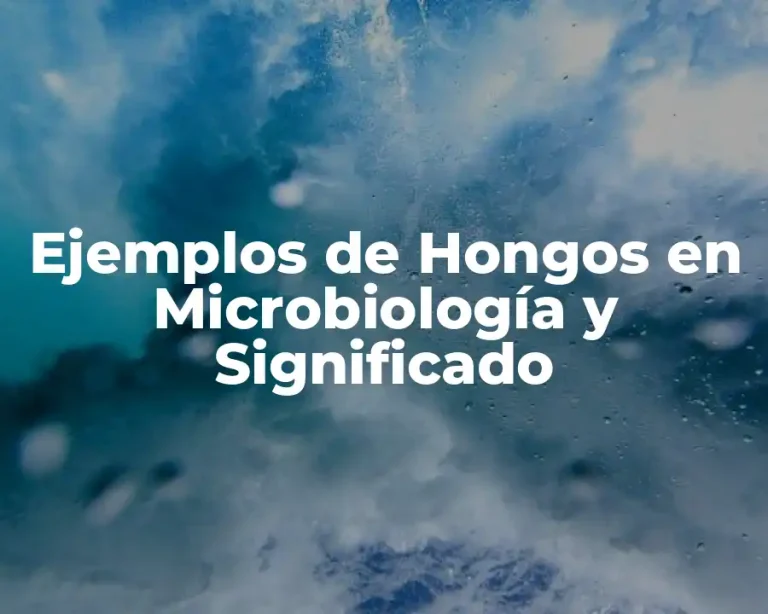 Ejemplos de Hongos en Microbiología y Significado