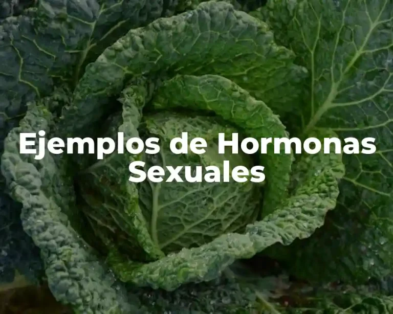 Ejemplos de Hormonas Sexuales