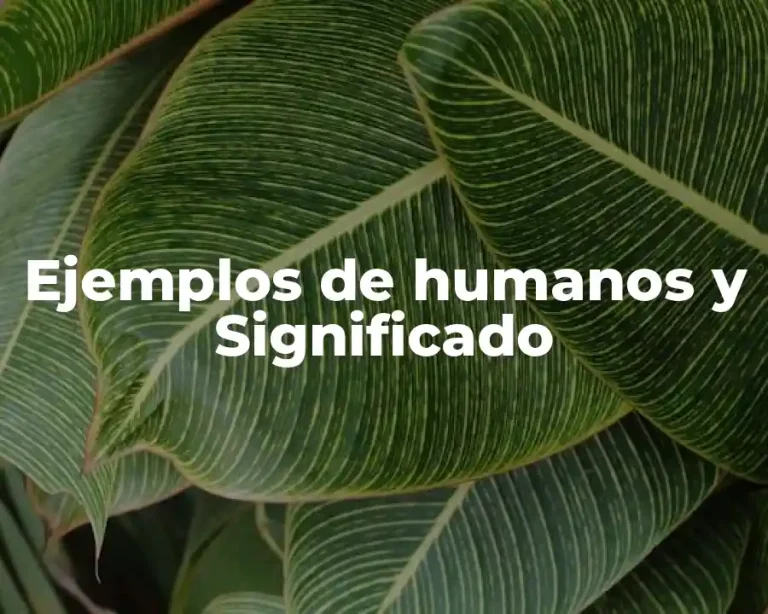 Ejemplos de humanos y Significado