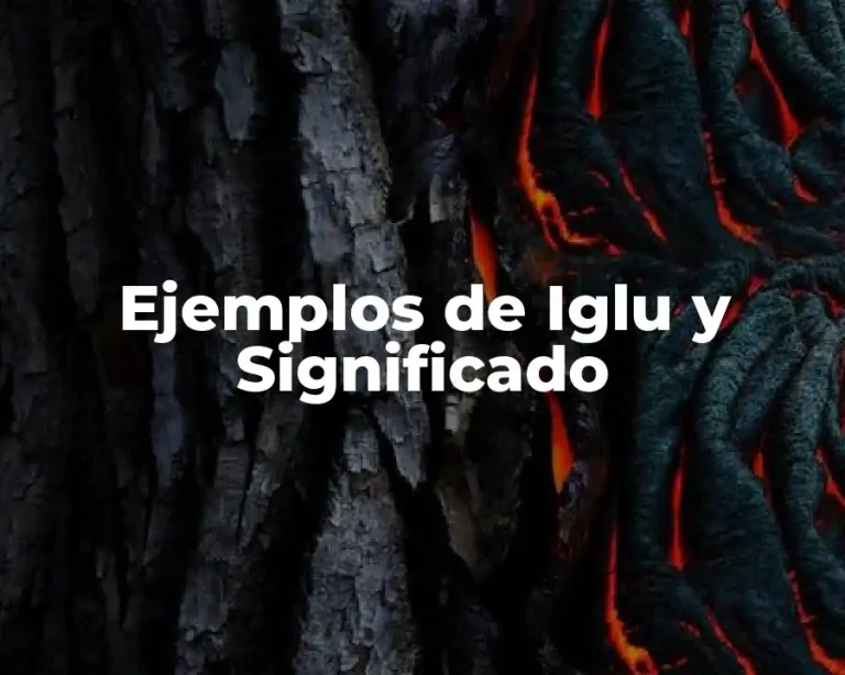Ejemplos de Iglu y Significado