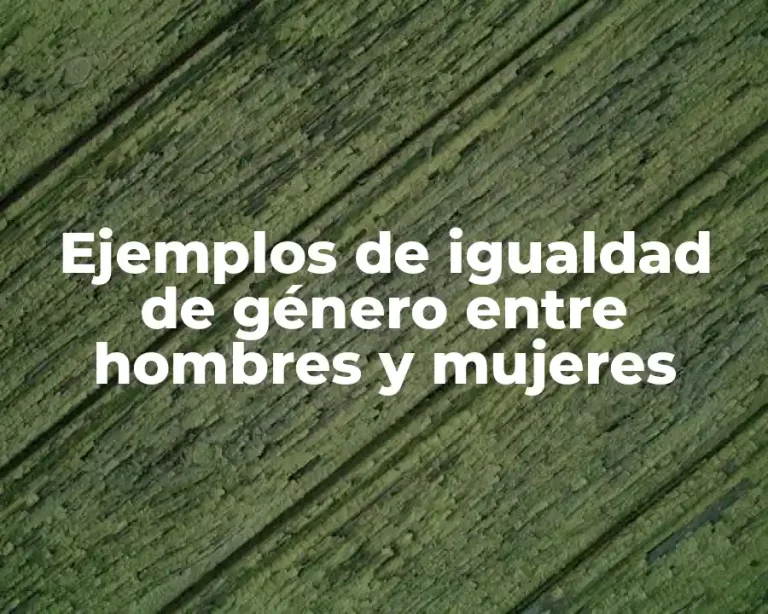 Ejemplos de igualdad de género entre hombres y mujeres