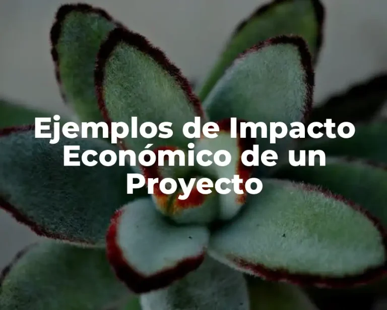 Ejemplos de Impacto Económico de un Proyecto