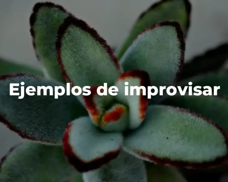 Ejemplos de improvisar