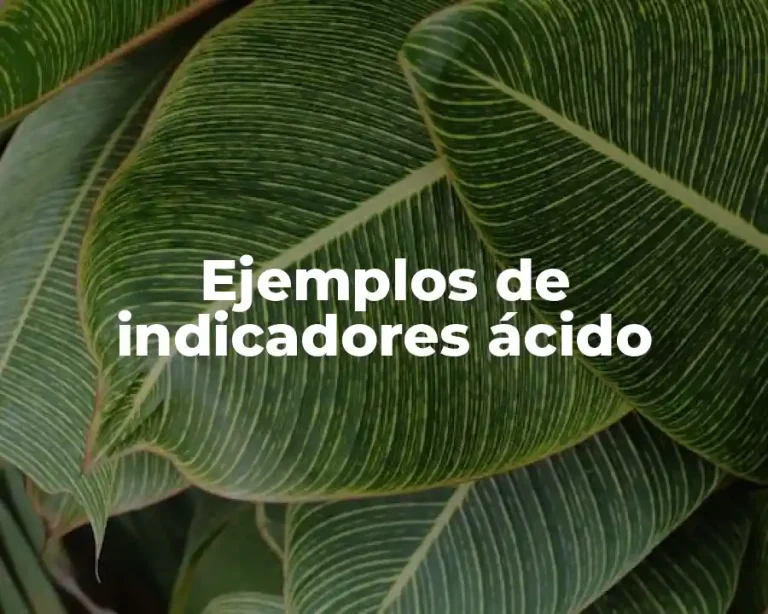 Ejemplos de indicadores ácido