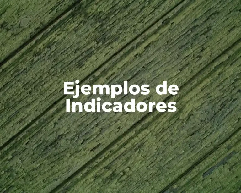 Ejemplos de Indicadores