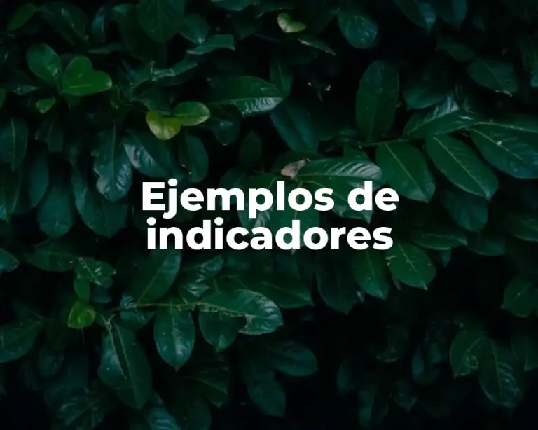 Ejemplos de indicadores