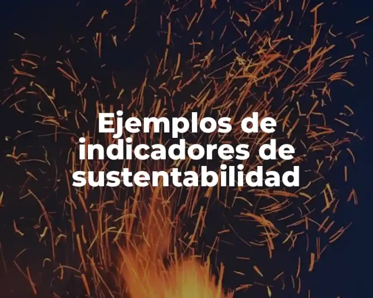 Ejemplos de indicadores de sustentabilidad